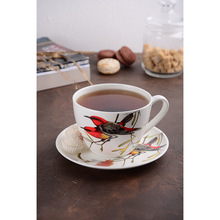 Сервіз LIMITED EDITION BIRD 2 предмети (YF6009)