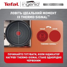 Набор посуды со съемной ручкой TEFAL Ingenio Emotion 5 предметов (L897S574)
