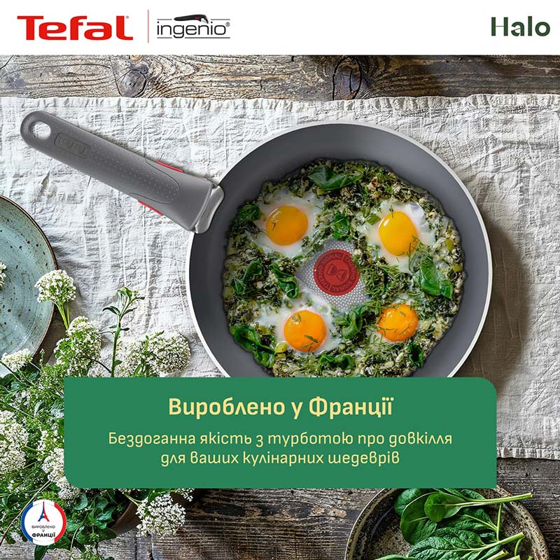 Набір сковорідок TEFAL Ingenio Halo 22см+26см (L8019353) Фото Набір сковорідок TEFAL Ingenio Halo 22см+26см (L8019353)