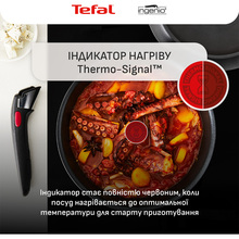 Набір посуду TEFAL Ingenio Inspiration 6 пр. (L867S604)
