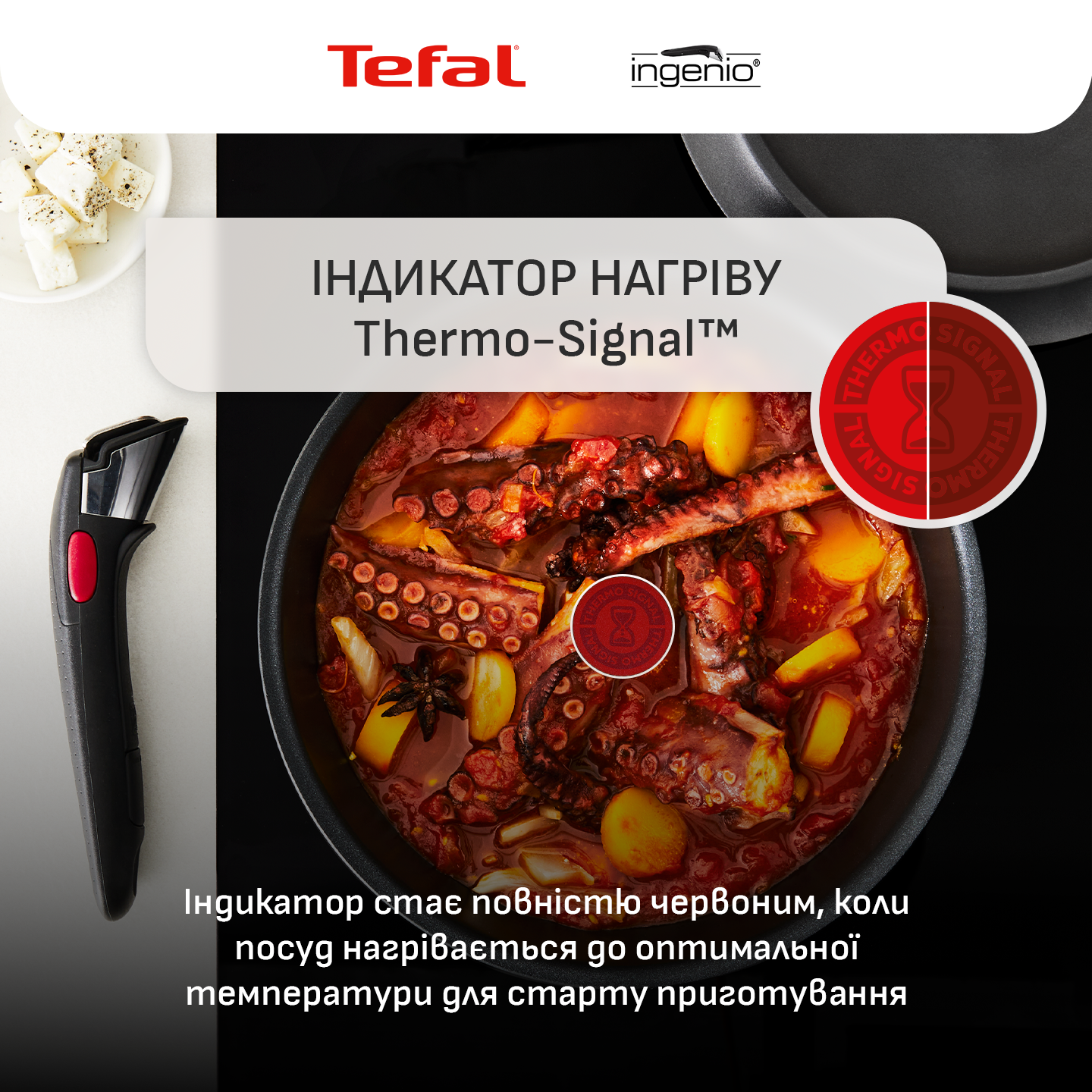 Фото 24 Набір посуду TEFAL Ingenio Inspiration 6 пр. (L867S604)