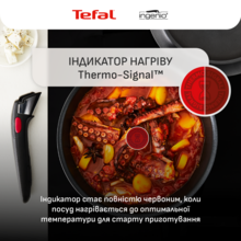 Набір посуду TEFAL Ingenio Inspiration 6 пр. (L867S604)