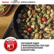 Набор сковородок TEFAL Ingenio Exсellence+ 22+26 см 3 пр (P0009653)