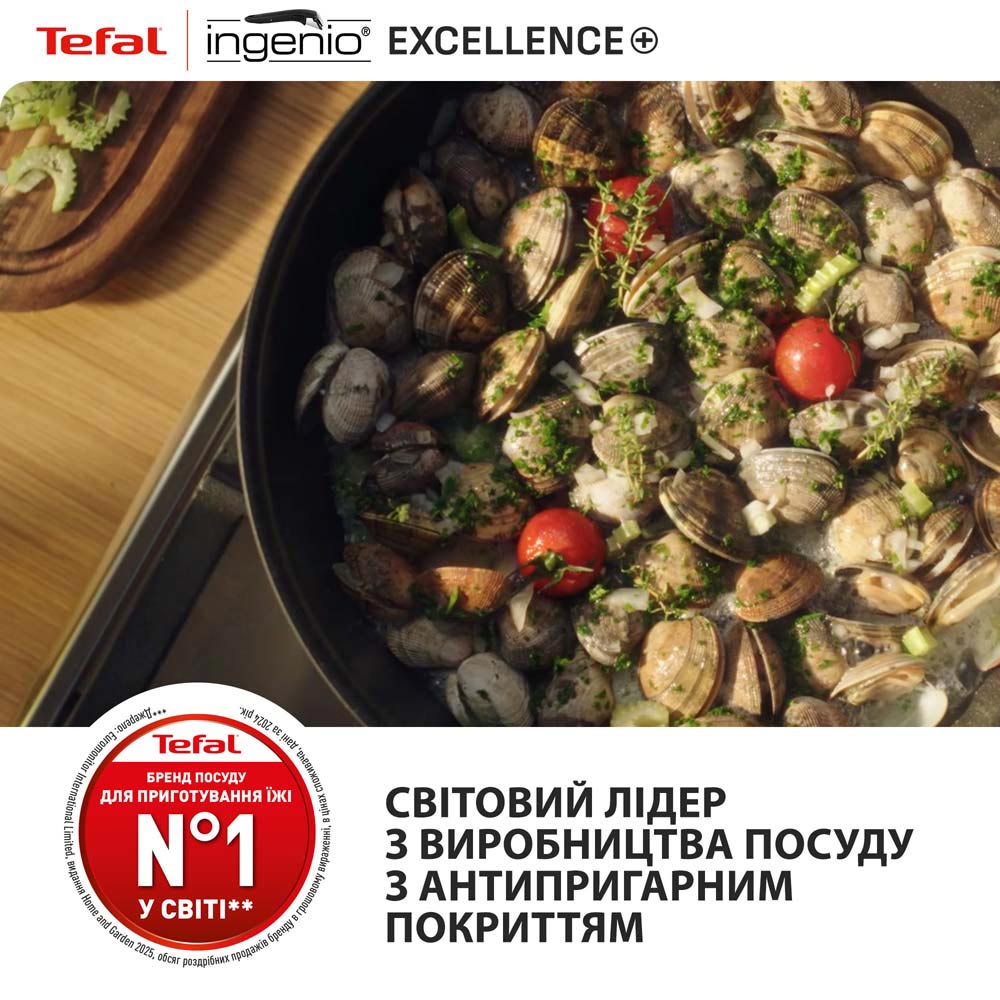 В інтернет магазині Набір сковорідок TEFAL Ingenio Exсellence+ 24+28 см 3 ін (P0009553)