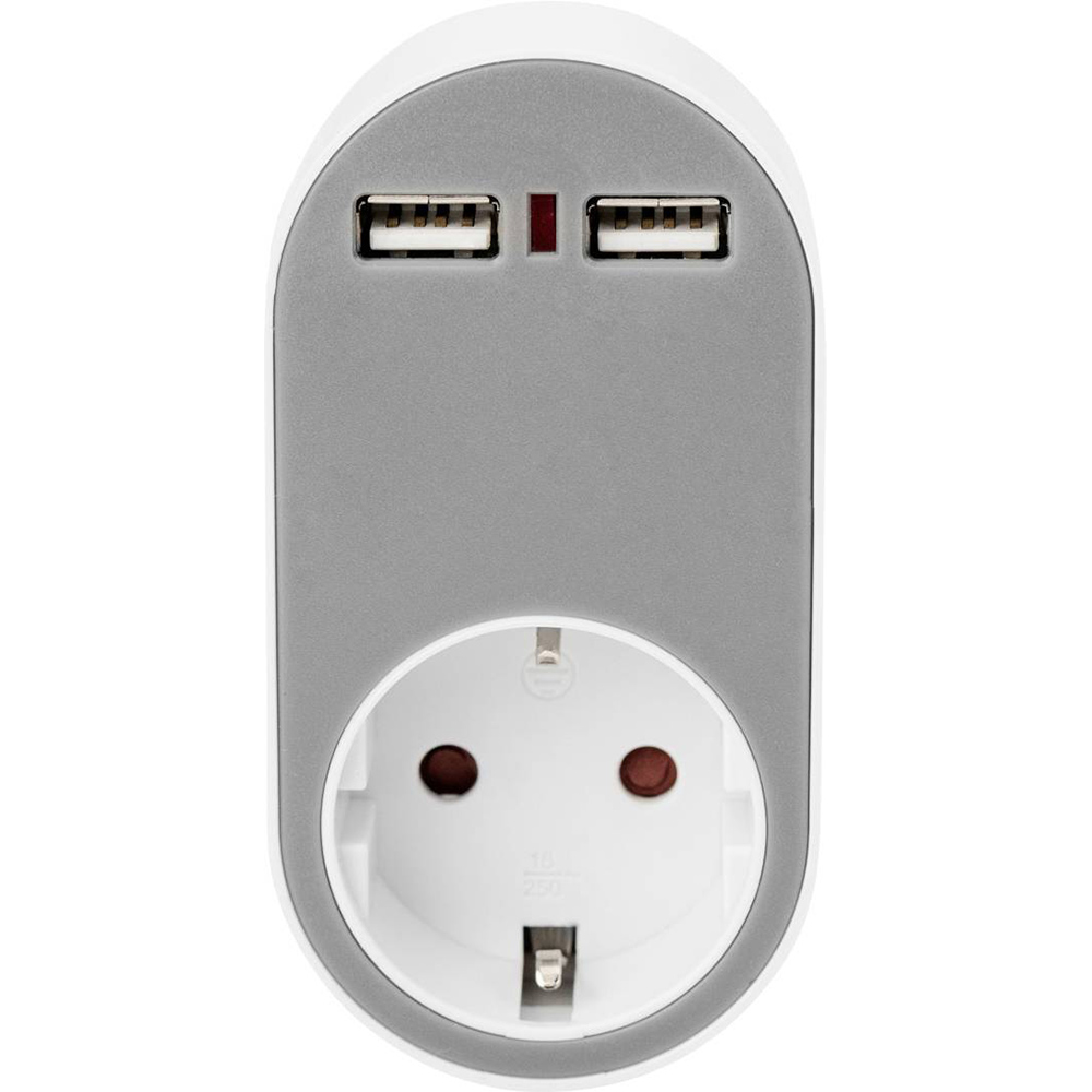 Сетевое зарядное устройство DIGITUS Universal USB + Power Socket (DA-70617) Кабель отсутствует