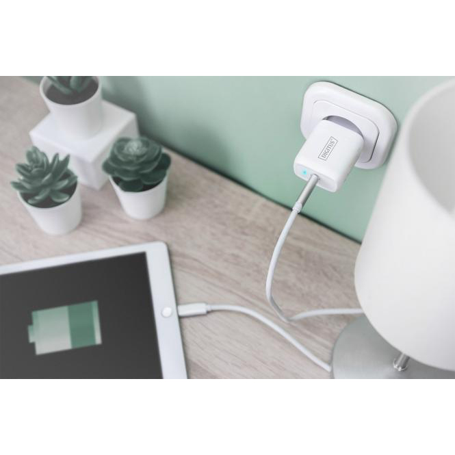 Сетевое зарядное устройство DIGITUS Universal USB-C 20W White(DA-10196) Выходной разъем USB Type-C