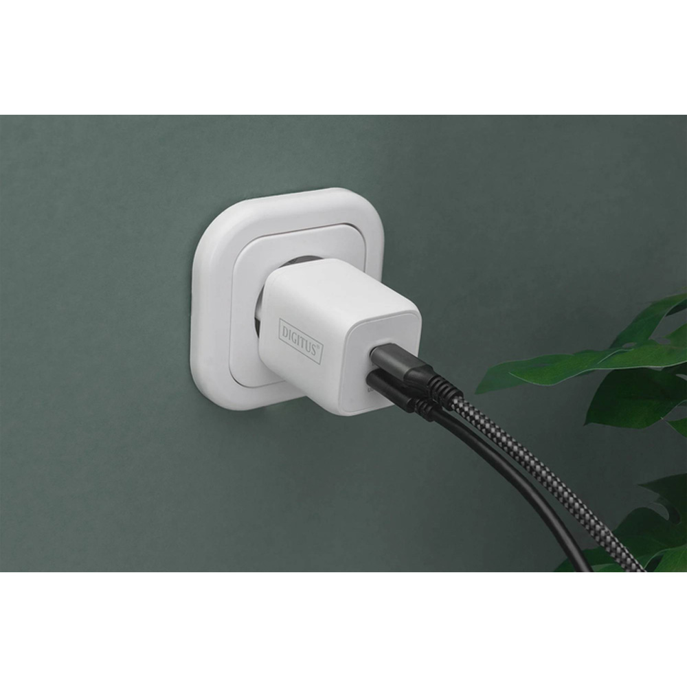 Зарядное устройство DIGITUS 2 х USB-C 65W White (DA-10063) Тип сетевое зарядное устройство