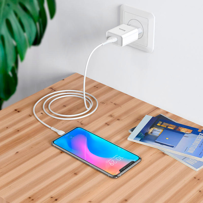 Зовнішній вигляд Зарядний пристрій HOCO C81A Asombroso single port charger set Micro 10.5W White (6931474727954)