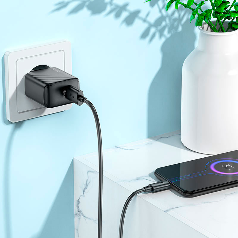 Фото Зарядний пристрій HOCO CS21A Rich QC3.0 Charger Set Micro (EU) Black (6942007609890)