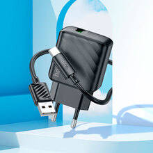 Зарядний пристрій HOCO CS21A Rich QC3.0 Charger Set Type-C (EU) Black (6942007609906)