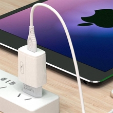 Сетевое зарядное устройство SKYDOLPHIN SC06 White (SDMZP-000177)