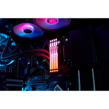 Модуль пам'яті Kingston 32GB DDR5 5600MHz Beast Black RGB (KF556C40BBA-32)