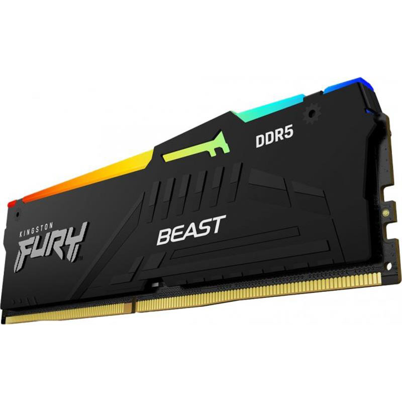 Модуль пам'яті Kingston FURY Beast RGB DDR5 16GB 6400 Black (KF564C32BBA-16) Тип DDR5