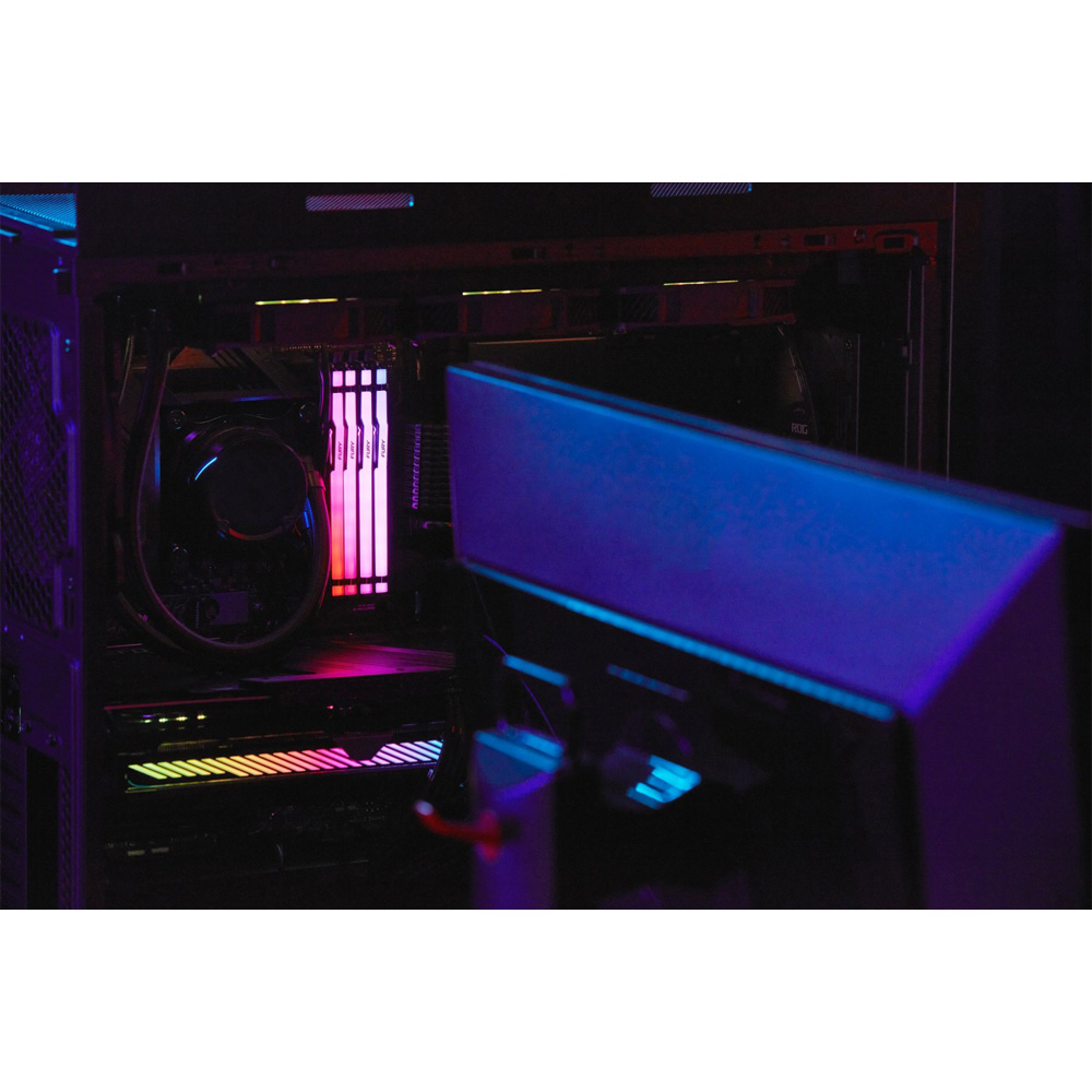 В інтернет магазині Модуль пам'яті Kingston Fury Beast DDR5 32GB 5600 RGB Black (KF556C36BBE2A-32)