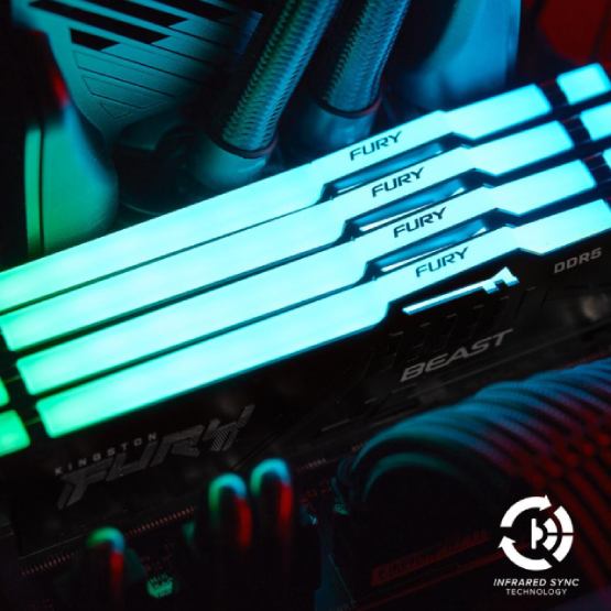 Заказать Модуль памяти KINGSTON Fury Beast 16GB DDR5 6400MHz RGB Black EXPO (KF564C32BBEA-16)