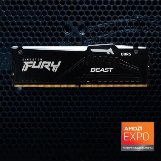 Покупка Модуль памяти KINGSTON Fury Beast 16GB DDR5 6400MHz RGB Black EXPO (KF564C32BBEA-16)