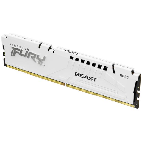 Модуль пам'яті KINGSTON Fury Beast 32GB DDR5 6400MHz White EXPO (KF564C32BWE-32) Тип DDR5