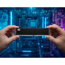 Модуль пам'яті EXCELERAM 32GB DDR4 2666 MHz 42-Series (E-42-001S-32)