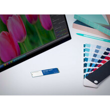 SSD накопитель WD 250GB M.2 Blue SN570 NVMe 2280 TLC (WDS250G3B0C)