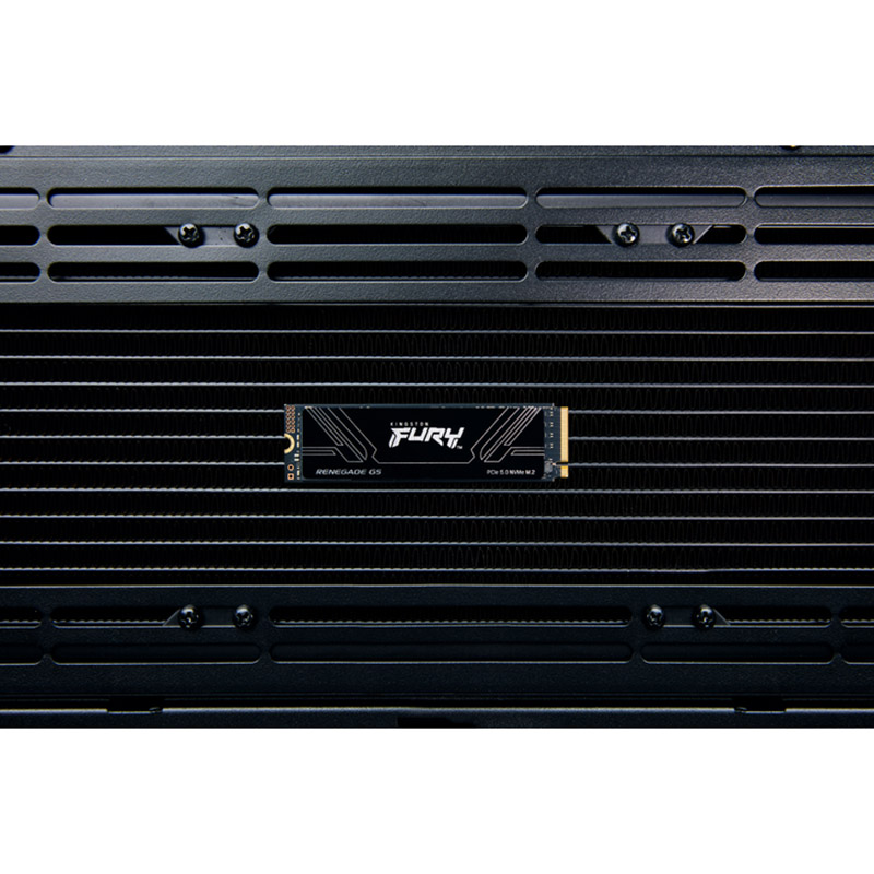 Зовнішній вигляд SSD накопичувач KINGSTON FURY Renegade M.2 1TB PCIe 5.0 (SFYR2S/1T0)