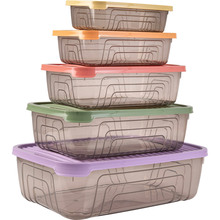 Набір контейнерів HEREVIN Rectangular Storage Bowl Set-2024 Colours 0,35 л (163333-150)