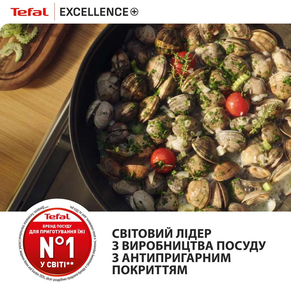 Замовити Каструля TEFAL Excellence+ 2.7 л Black (G3284443)