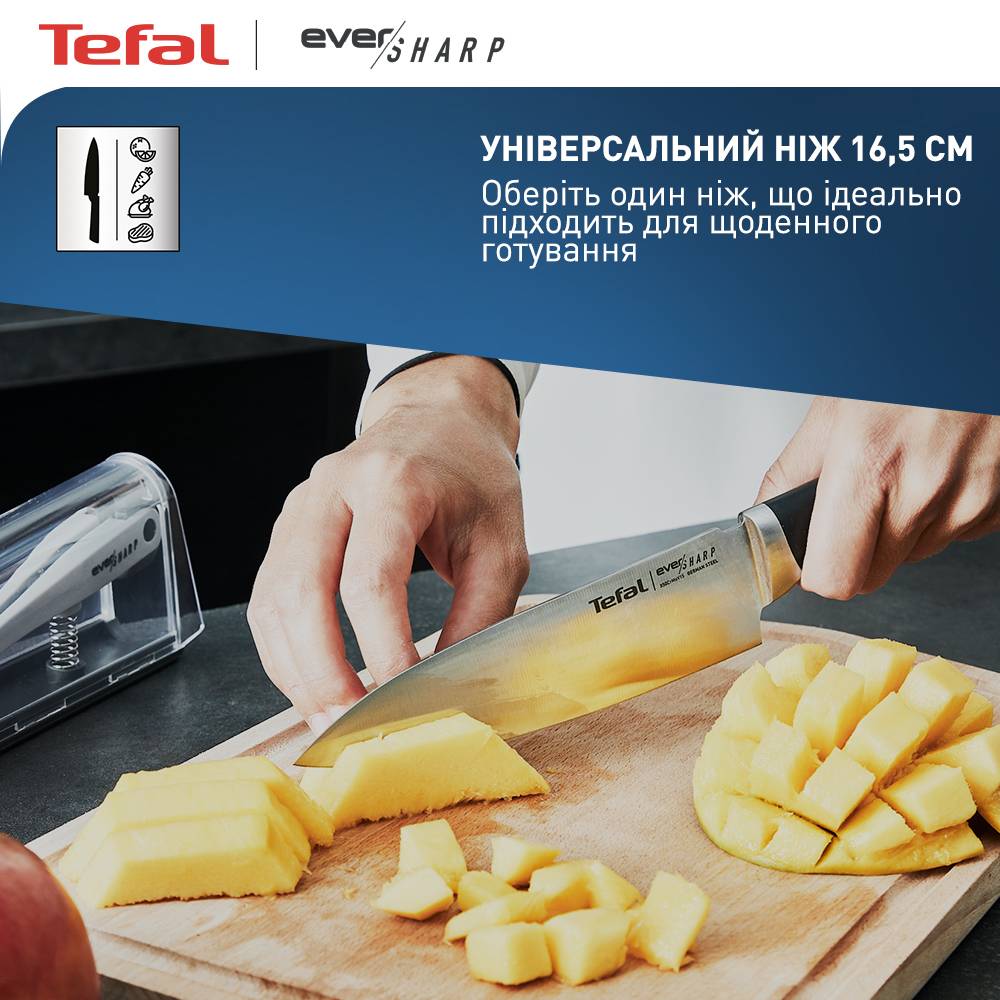 Зовнішній вигляд Ніж TEFAL Ніж з чохлом-точилкою Eversharp 16,5 см (K2569004)