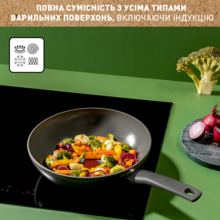 Сковорода TEFAL Renewal ВОК 28 см (C4261943)