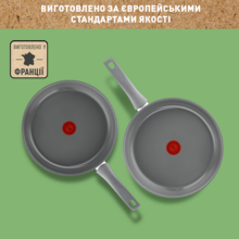 Сковорода TEFAL Renewal 28 см Grey (C4260643)