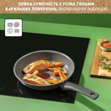 Сковорода TEFAL Renewal 28 см Grey (C4260643)