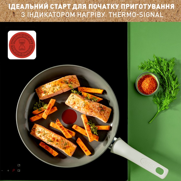 Покупка Сковорода TEFAL Renew ON 20 см (C4270232)