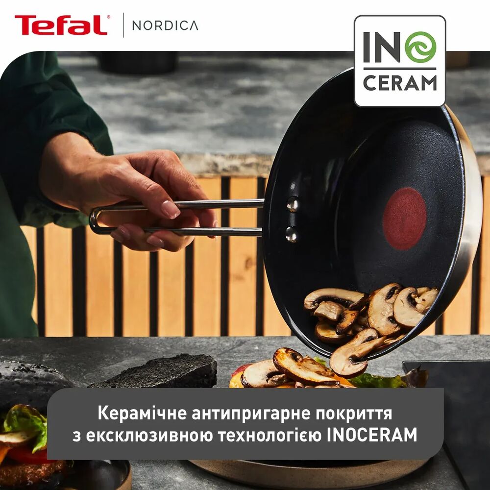 В інтернет магазині Сковорода TEFAL Nordica 20 см (H8710255)