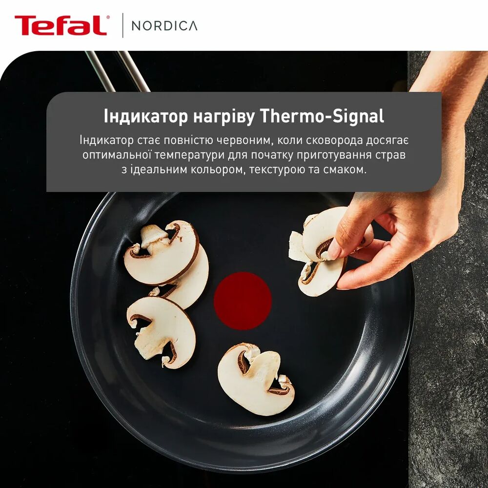 Замовити Сковорода TEFAL Nordica 24 см (H8710455)