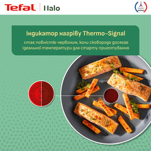 Сковорода TEFAL Halo 28 см Grey (C3120653)