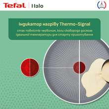 Сковорода для млинців TEFAL Halo 25см Grey (C3123853)