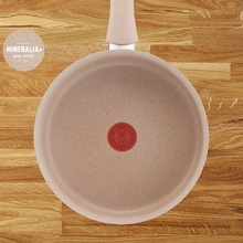 Стійник з кришкою TEFAL Delight 24 см Beige (G2933202)