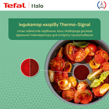 Сотейник с крышкой TEFAL Halo 24 см Grey (C3123253)