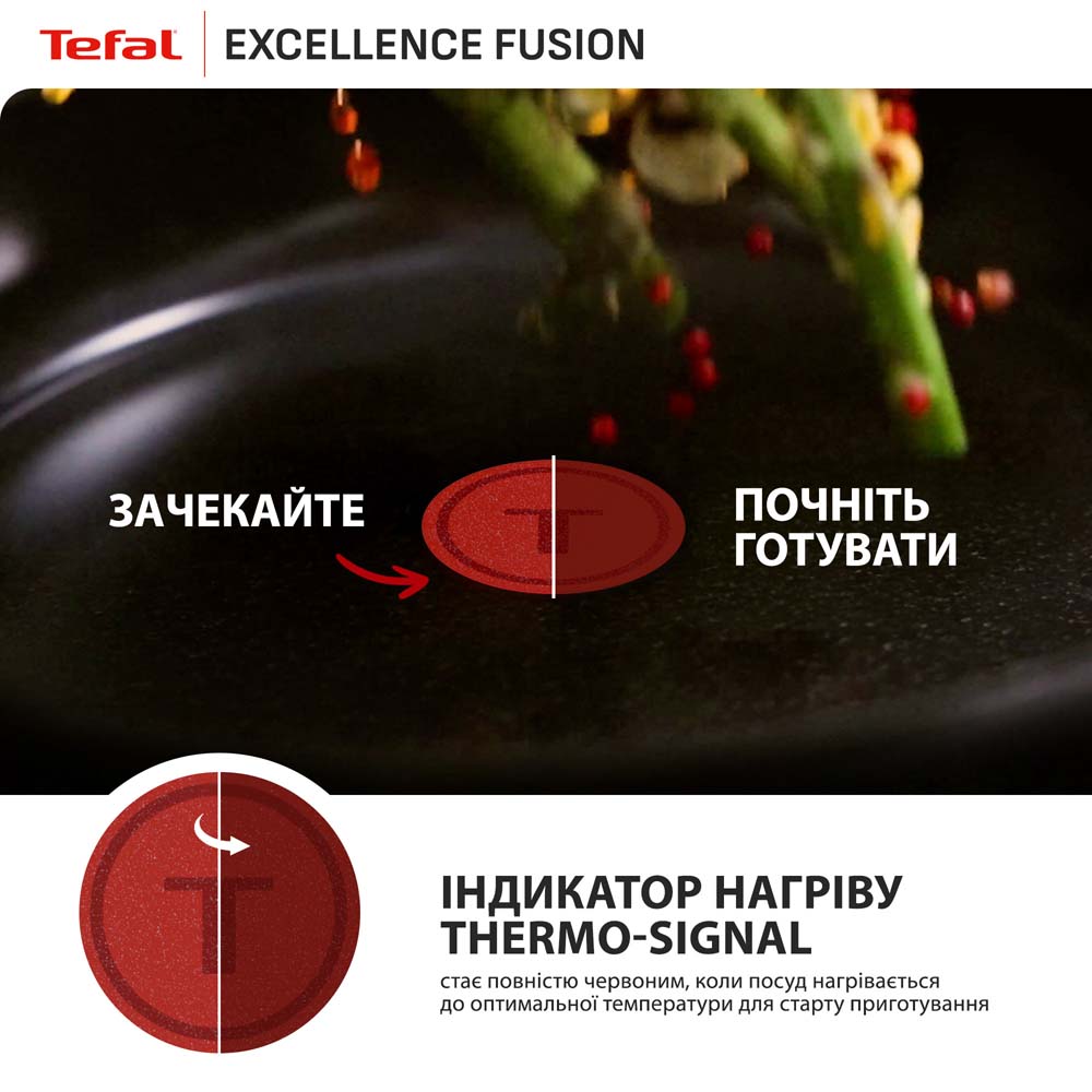 Покупка Сковорода для блинов TEFAL Excellence Fusion 25 см Black (G3383802)