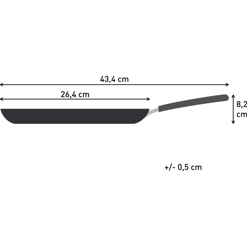 Огляд Сковорода для млинців TEFAL Expertise 25 см Black (G3213832)