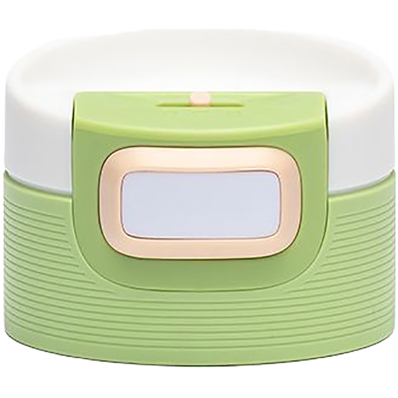 Внешний вид Термокружка KAMBUKKA Etna 300 мл Pistachio (11-01061)