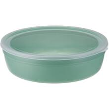 Миска IDEA HOME 2,8 л  Pistachio (1303-IH)
