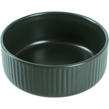 Салатник LIMITED EDITION Robust Green 16 см (TRSC-PS2505-G60SB)