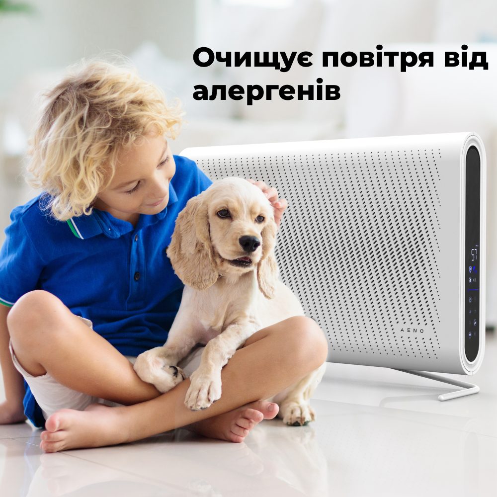 Изображение Очиститель воздуха AENO AP2S