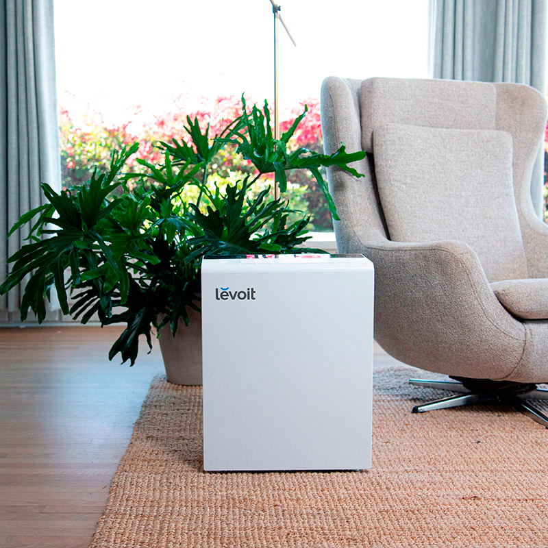 Заказать Очиститель воздуха LEVOIT Smart Air Purifier LV-H131-RXW (HEAPAPLVNEU0037)