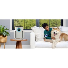 Очисник повітря SHARK NeverChange5 Air Purifier Compact Pro (HP072EU)