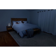 Очисник повітря SHARK NeverChange5 Air Purifier Compact Pro (HP072EU)