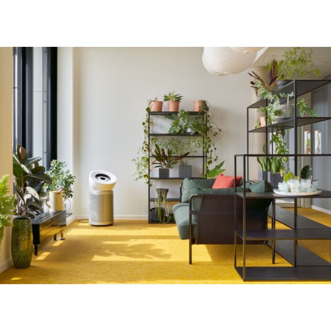 Внешний вид Очиститель воздуха DYSON Purifier Big+Quiet BP02 White/Silver (304511-01)