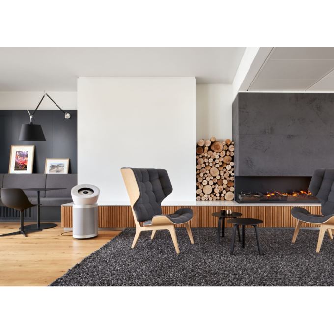 Очиститель воздуха DYSON Purifier Big+Quiet BP02 White/Silver (304511-01) Способ очистки HEPA фильтр