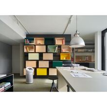 Очиститель воздуха DYSON Purifier Big+Quiet BP02 White/Silver (304511-01)