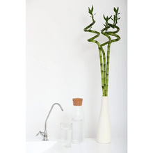 Фильтр ECOSOFT Standard 5-50M (MO550MECOSTD)